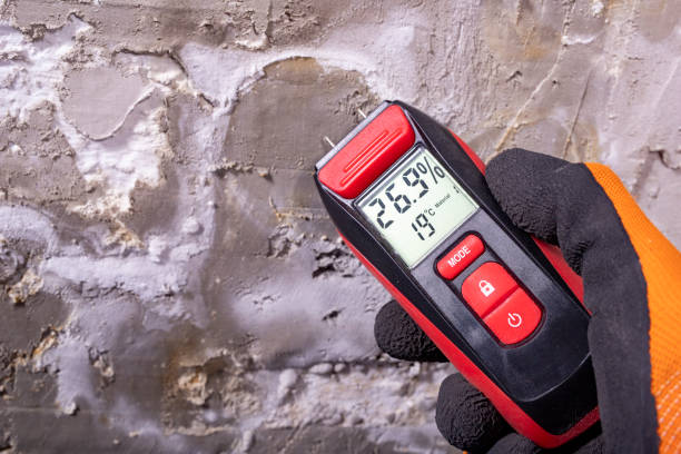 Best Mold Cleaning Services  in Granville South, OH