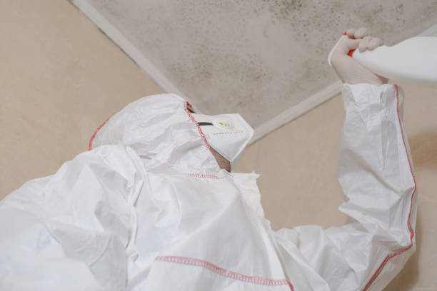 Best Office Mold Removal Services  in Granville South, OH