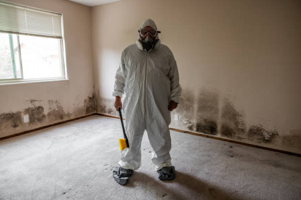 Trusted Granville South, OH Mold Removal Experts